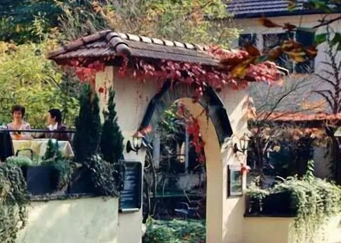 Hotel Niederthaeler Hof 3*